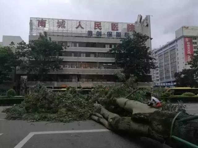 台风海马最新动态