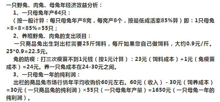 肉兔最新价格2016与心灵平静之旅的探寻