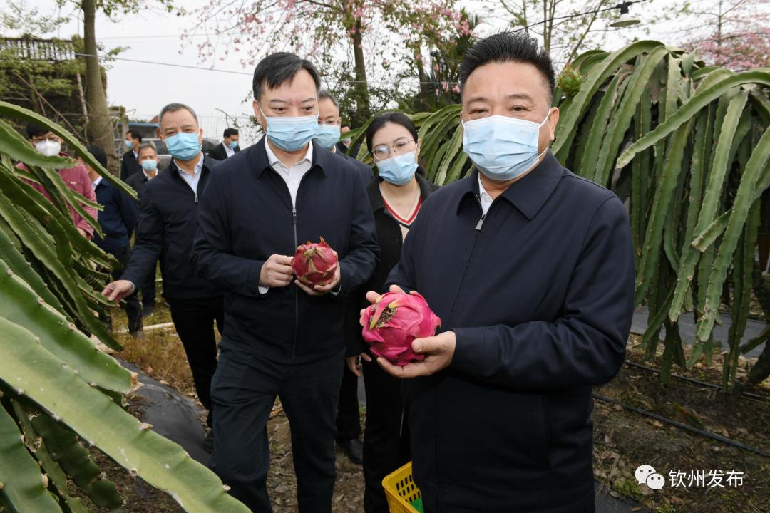 新澳天天资料免费大全,高度协调实施_赋能版