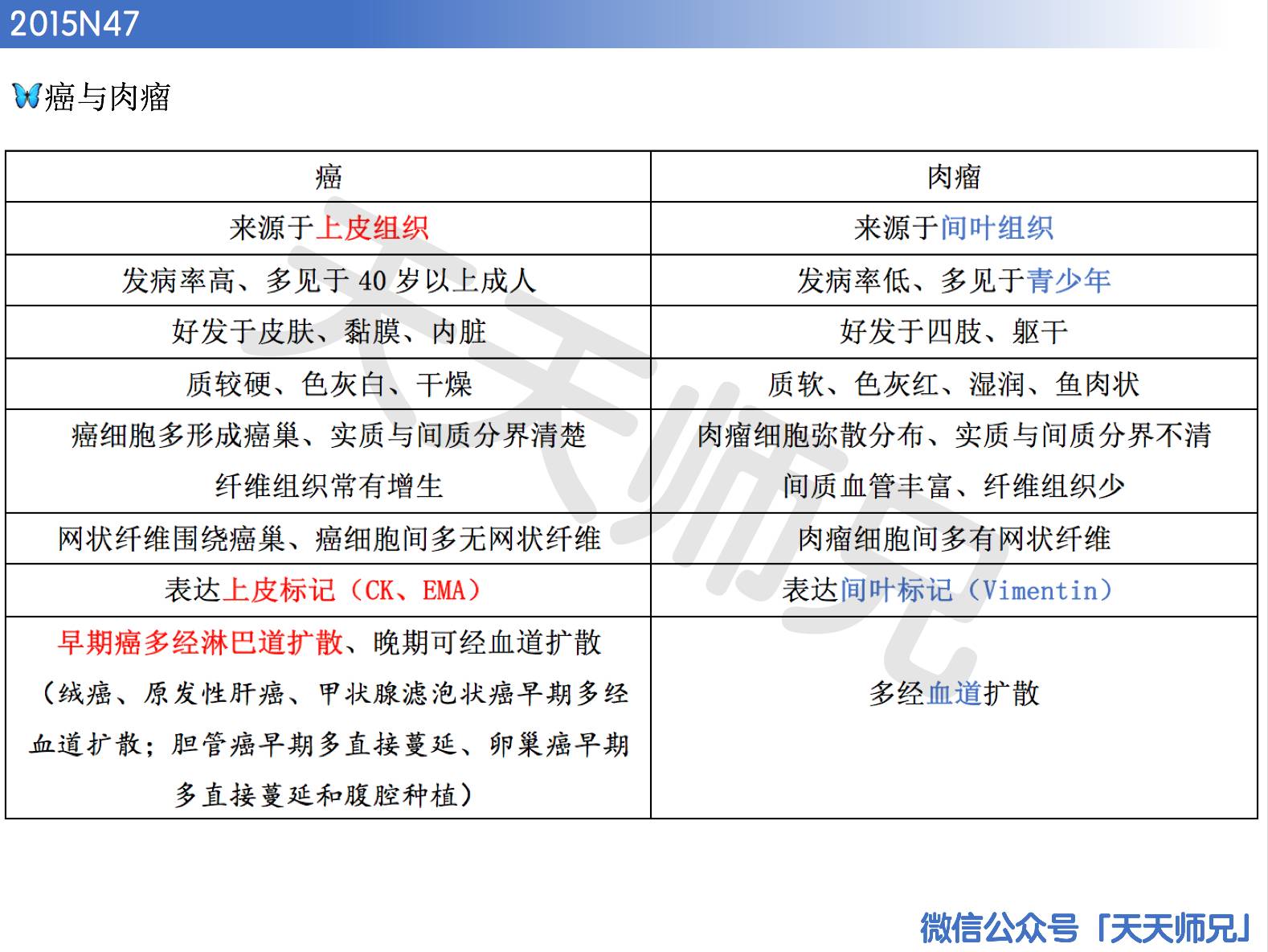 二四六天天好(944CC)资料大全,科学分析解释说明_YUC10.918透明版