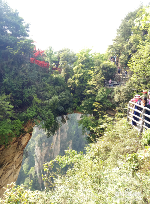 沧州旅行社最新三日游，启程感受变化的力量之旅