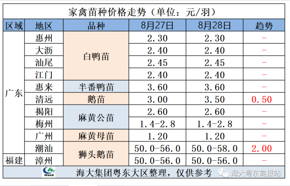 最新种蛋价格揭秘，小巷特色宝藏与探索奇妙小店之旅