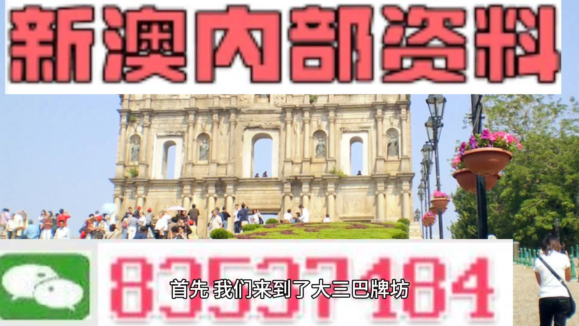 2024新澳最准确资料,精细化实施分析_专业版38.263