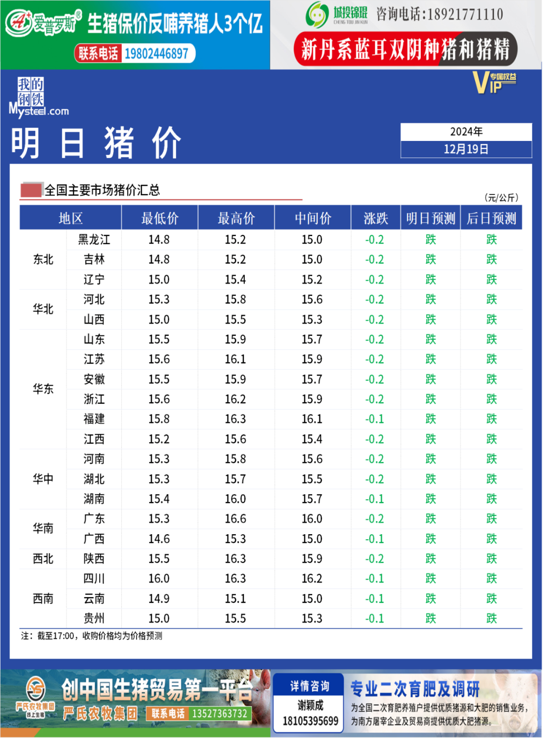 最新猪肉价格背后的温馨故事揭秘