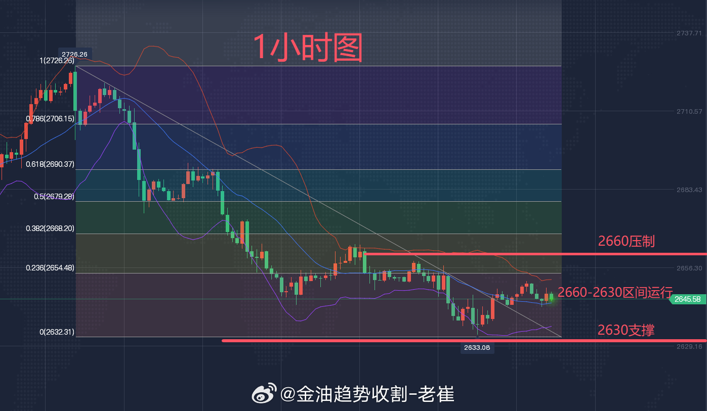 黄金行情最新分析与温馨日常故事交织的启示