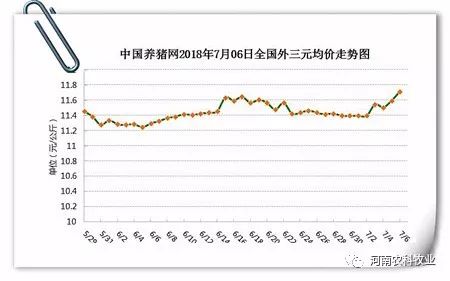 猪价行情走势，博弈变化，自信成就之源