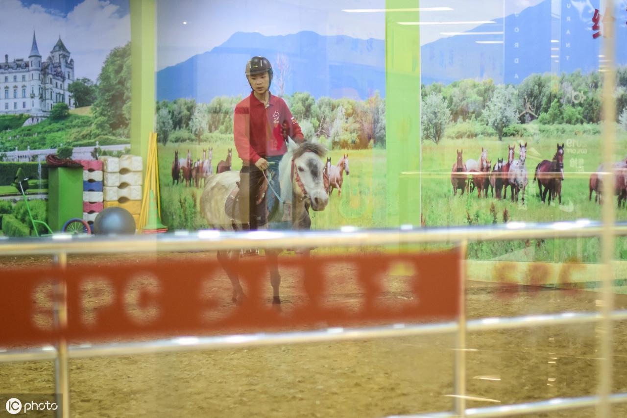 小巷深处的特色马术探索之旅，探寻马术比赛用马的故事