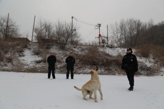 警花与警犬2最新动态揭秘，小巷深处的神秘小店探秘